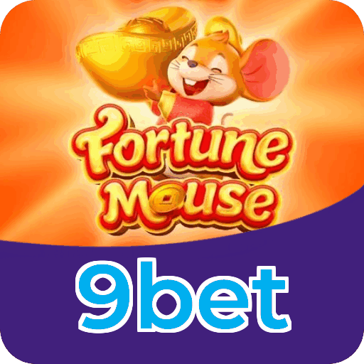 9bet cadastro — dados da conta e política LGPD